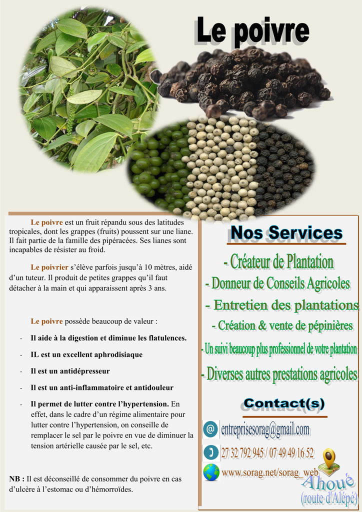 Sorag-Prospect-Poivre-2-web