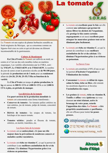 Tomate-Affiche-pour-Annonce