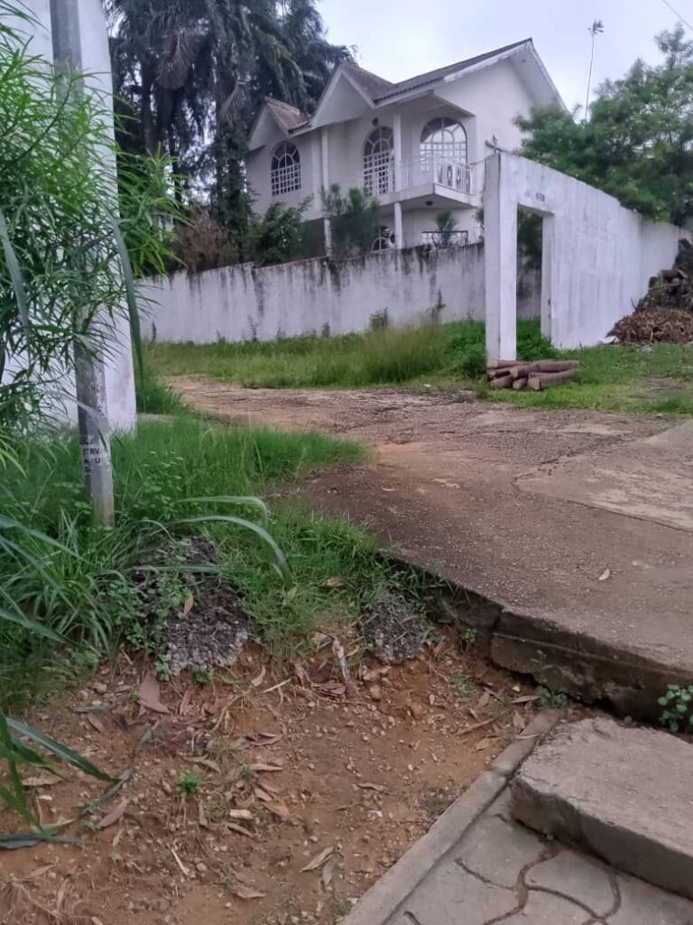 1000m2-abidjan-Mall3