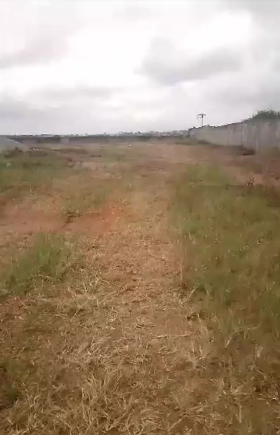 trashed-1721571877-IMG_20240621_142301