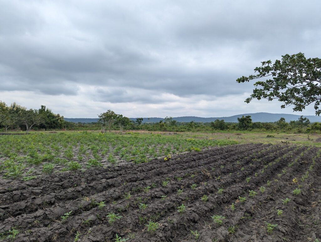 PXL_20240727_113754117.RAW-01.COVER_