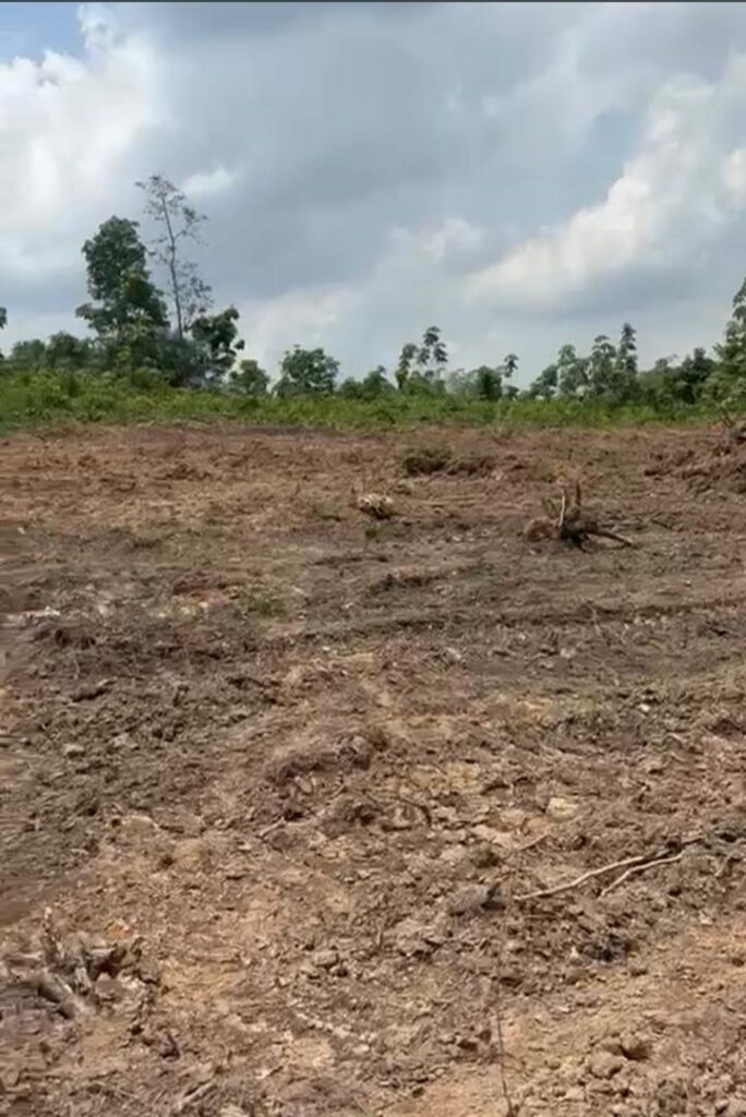 WhatsApp-Image-2024-06-11-at-11.27.17