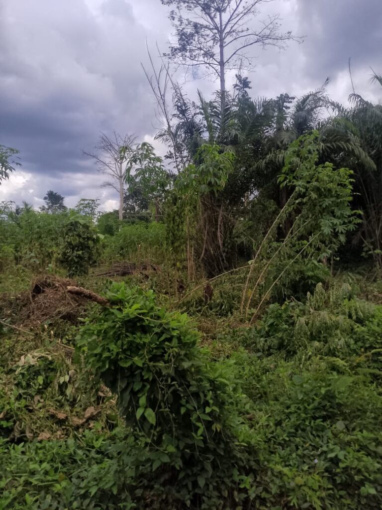 WhatsApp-Image-2024-10-15-at-09.30.59-2