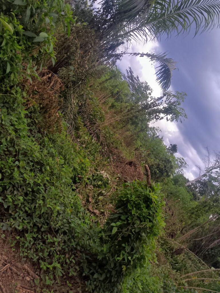 WhatsApp-Image-2024-10-15-at-09.30.59