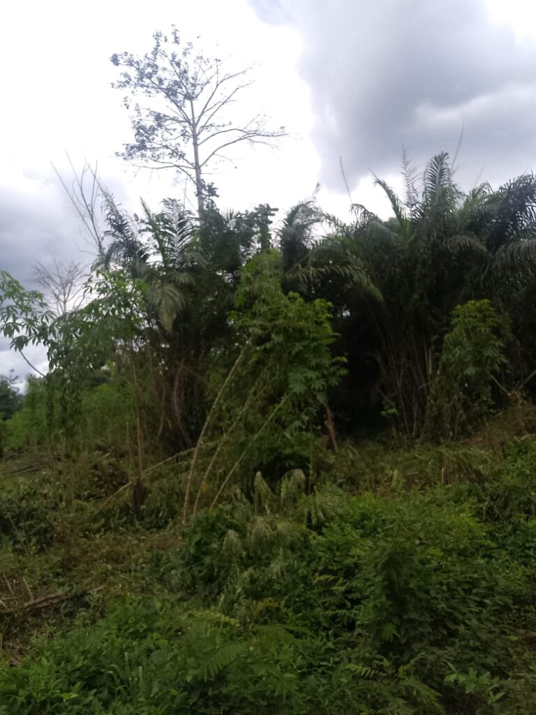 WhatsApp-Image-2024-10-15-at-09.31.00