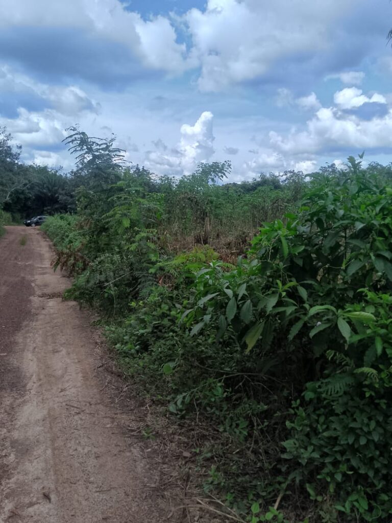 WhatsApp-Image-2024-10-15-at-09.31.01