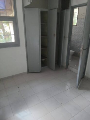 IMG-20241125-WA0366