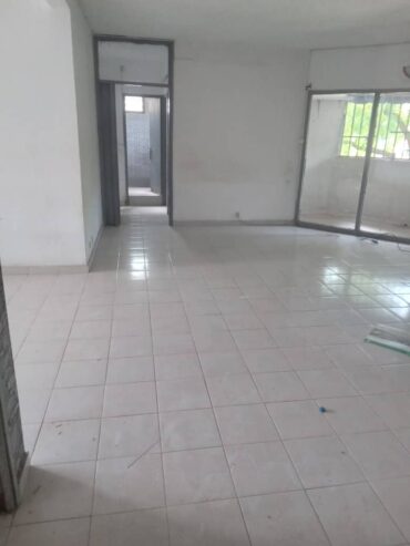 IMG-20241126-WA1065