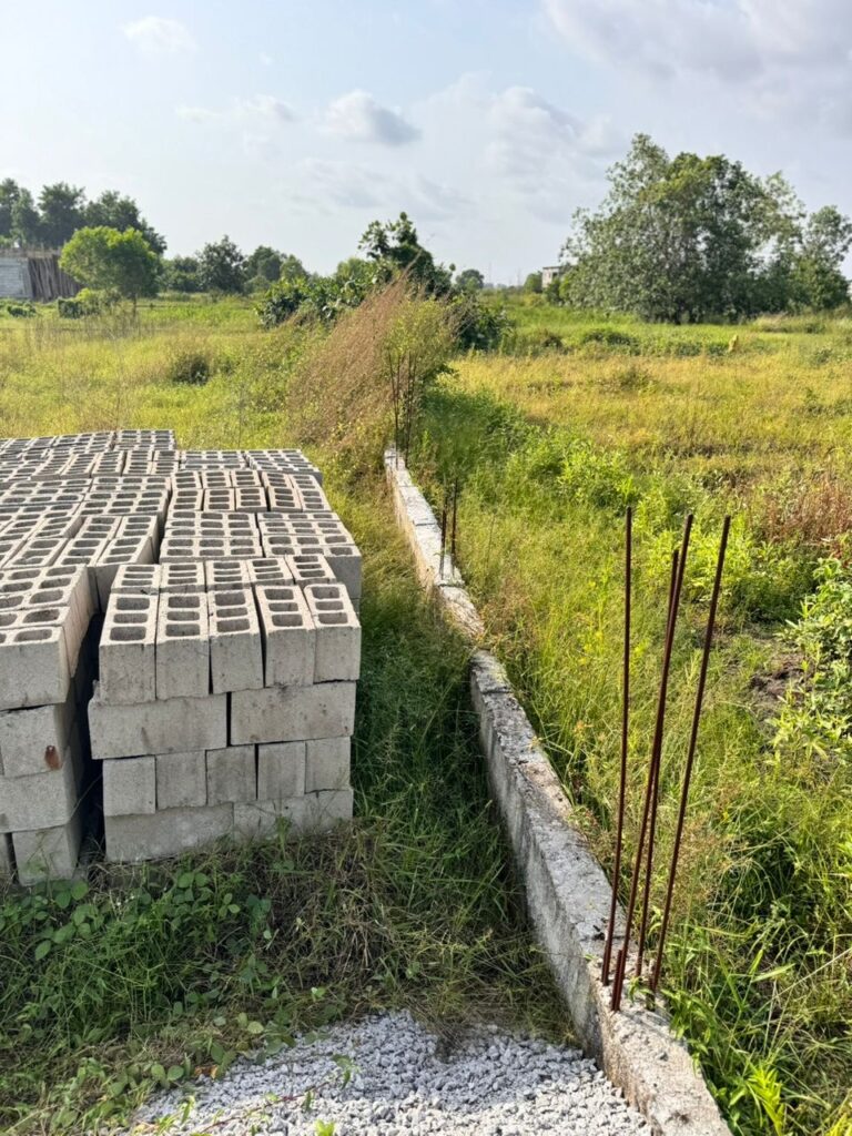 2388fe25-2792-46b3-b0e0-bd07d5f2276b