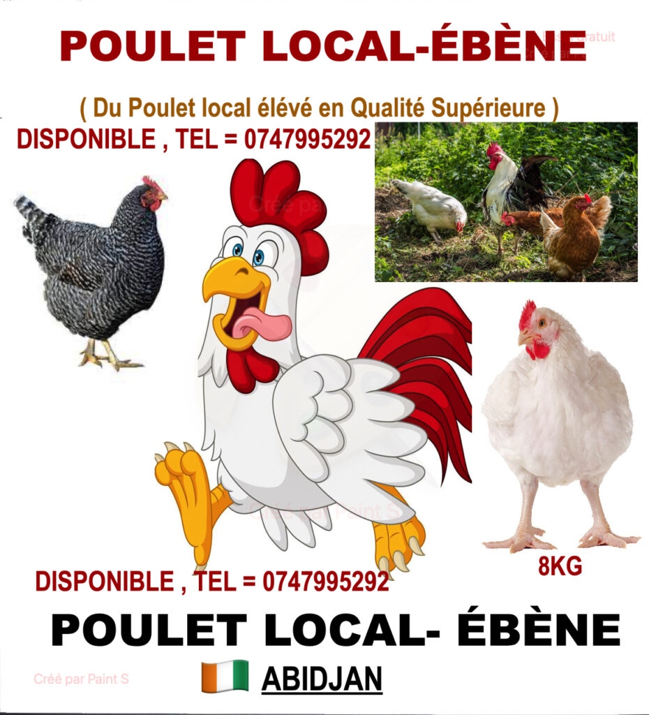 VOLAILLE-DISPONIBLE-1