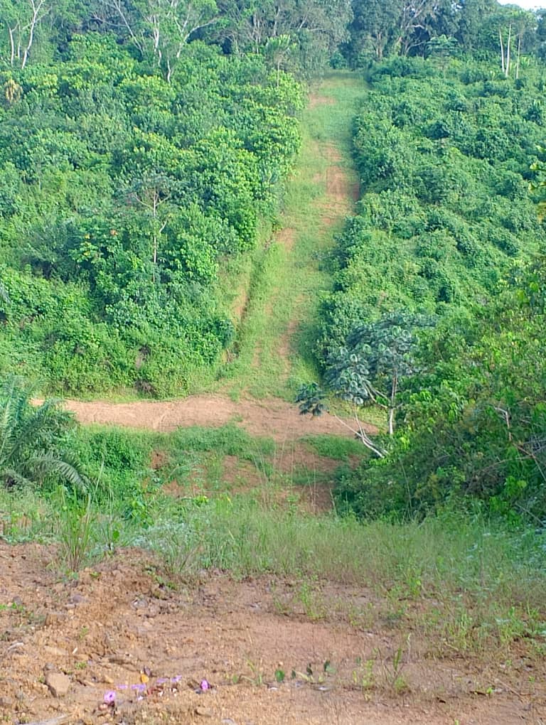 532d88b7-9a16-43ba-9e2b-bab0b3108790