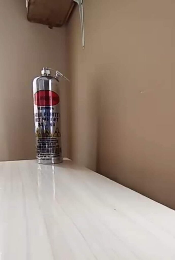 FB_IMG_1724235288139