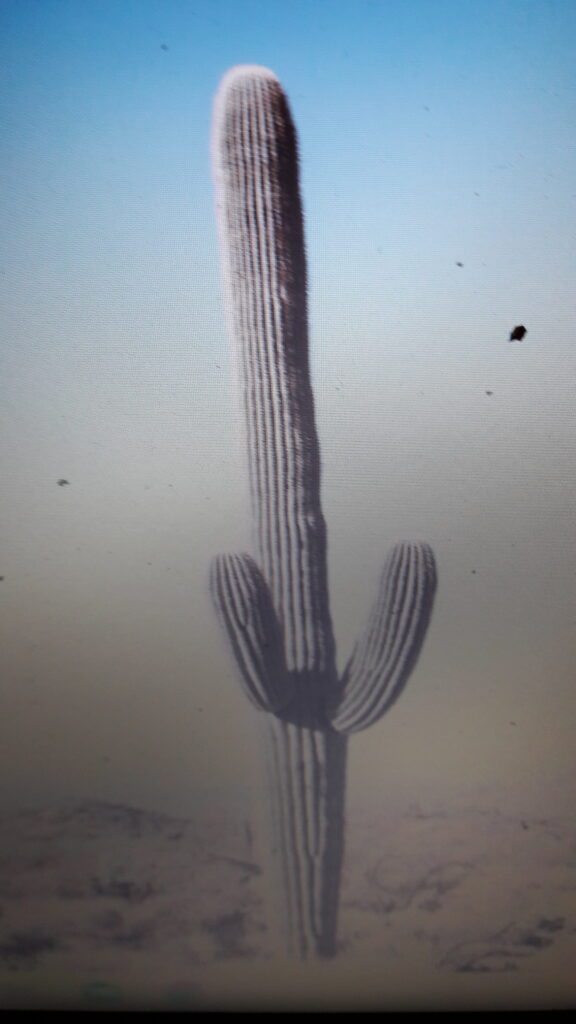 20240407_105514-Copie