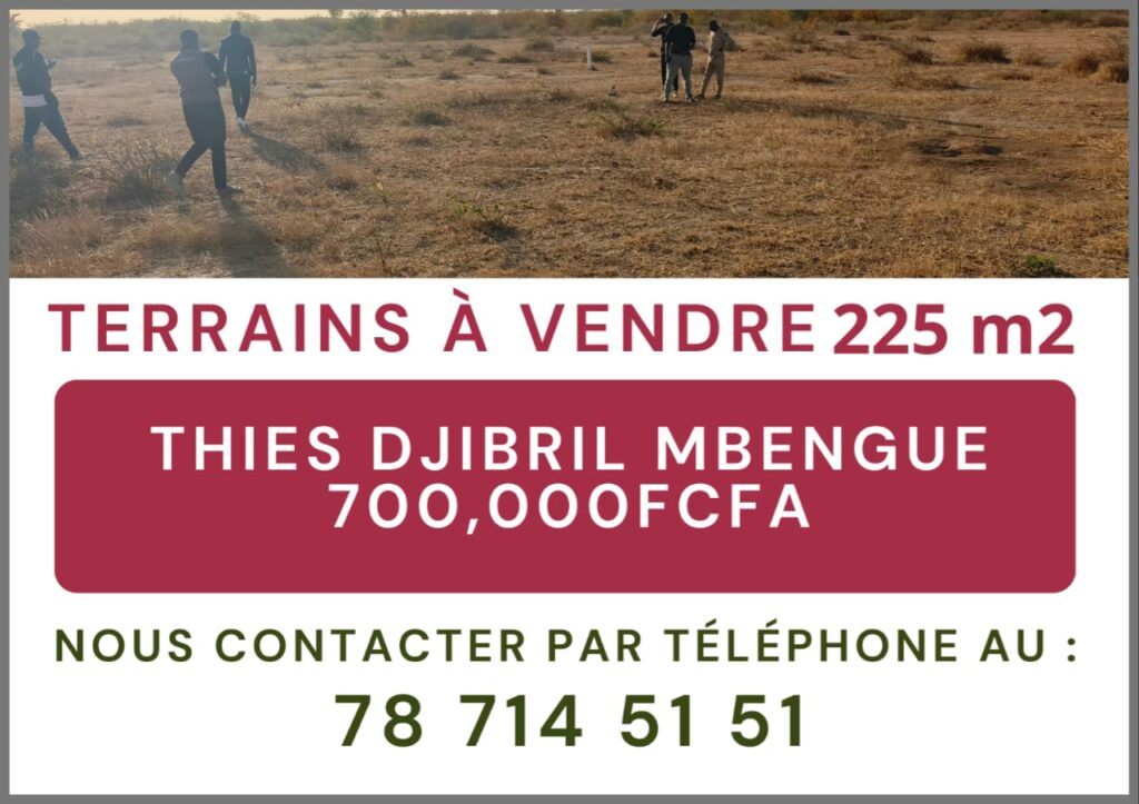 WhatsApp-Image-2025-02-12-a-15.45.07_6fceb811TERRAIN