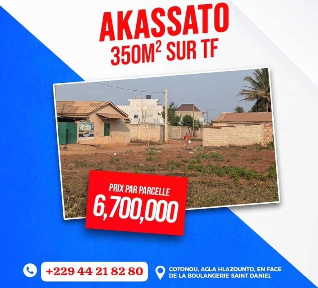 WhatsApp-Image-2025-03-13-at-16.56.55