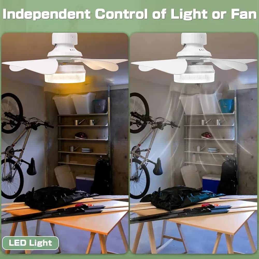 IMG-20250404-WA01491