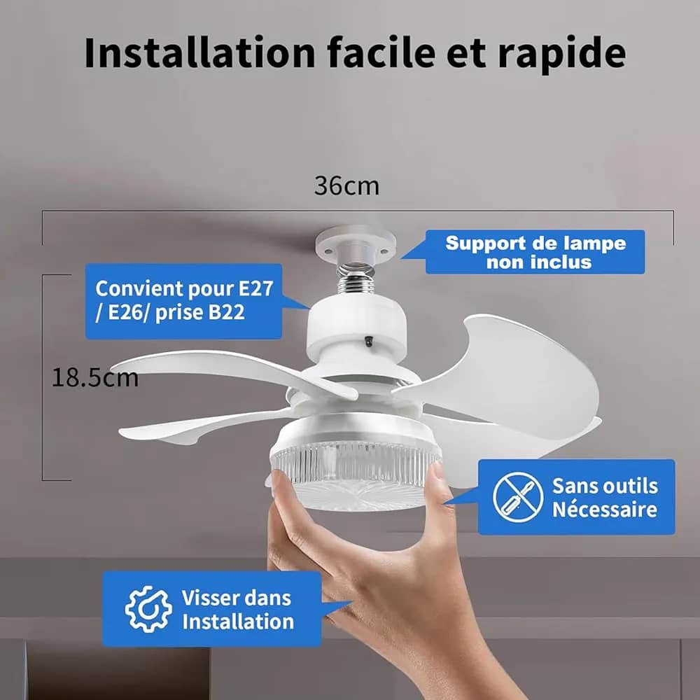 IMG-20250404-WA01501