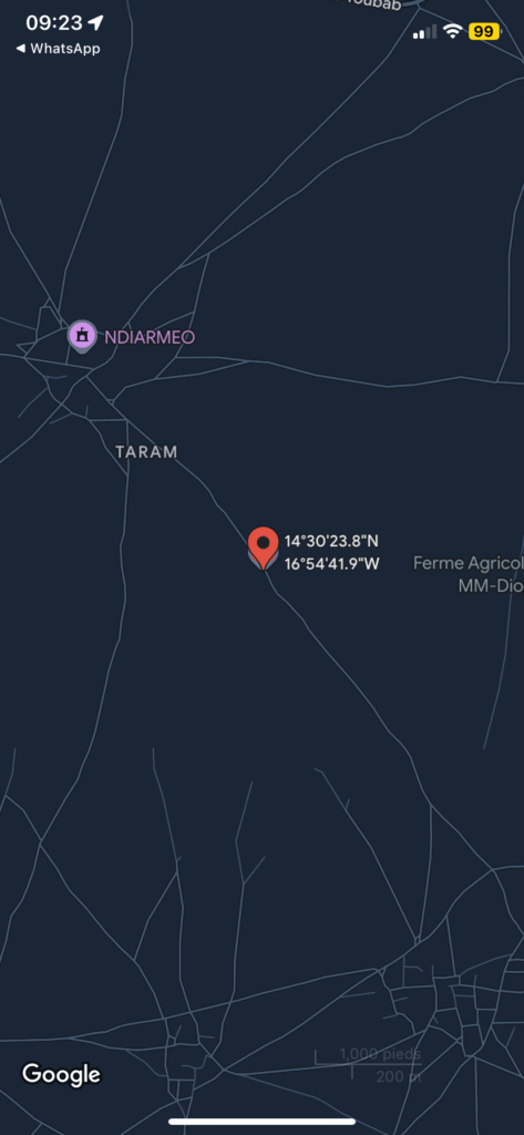 Terrain-de-300m2-a-malicounda-01