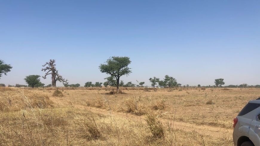 Terrain-de-300m2-a-malicounda-03
