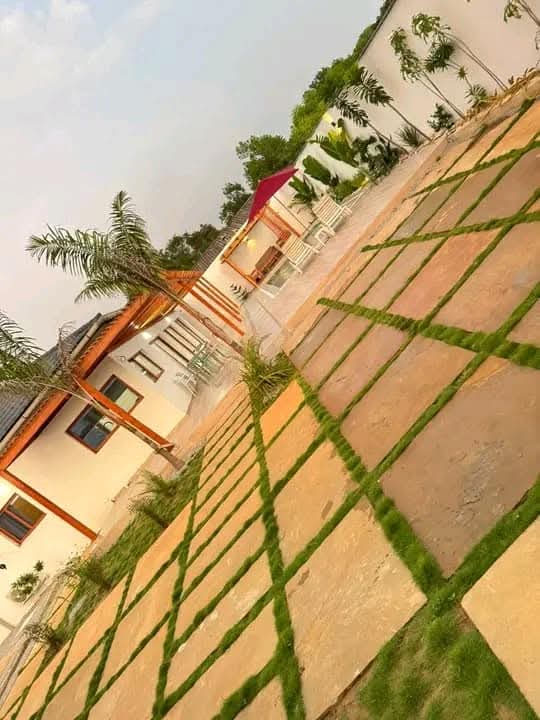 WhatsApp-Image-2025-03-02-a-20.37.20_84c5a4cf