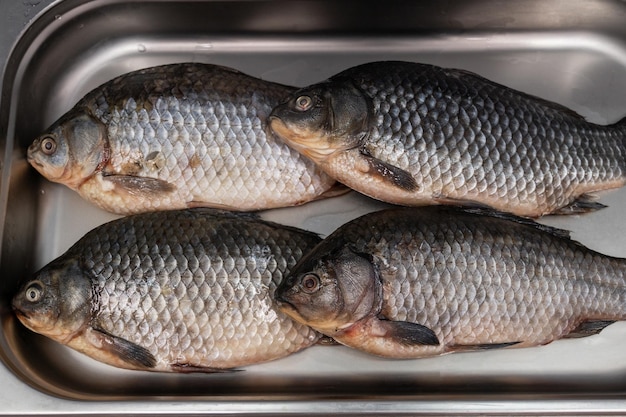 poisson-cru-frais-carpe-dans-supermarche_78506-2176