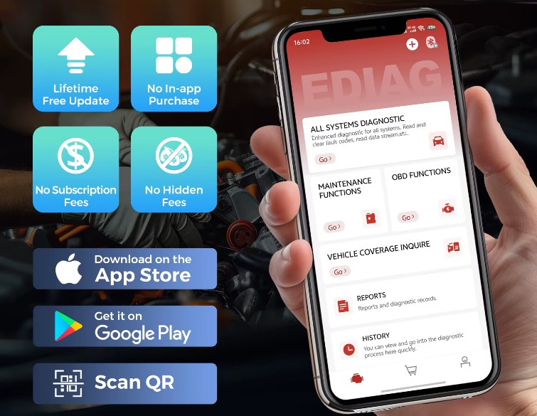 WhatsApp-Image-2025-09-15-at-10.39.20