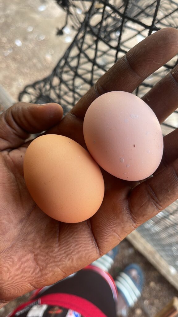 BF7D7F67-DEAC-45E0-B140-7C0A09534ACF