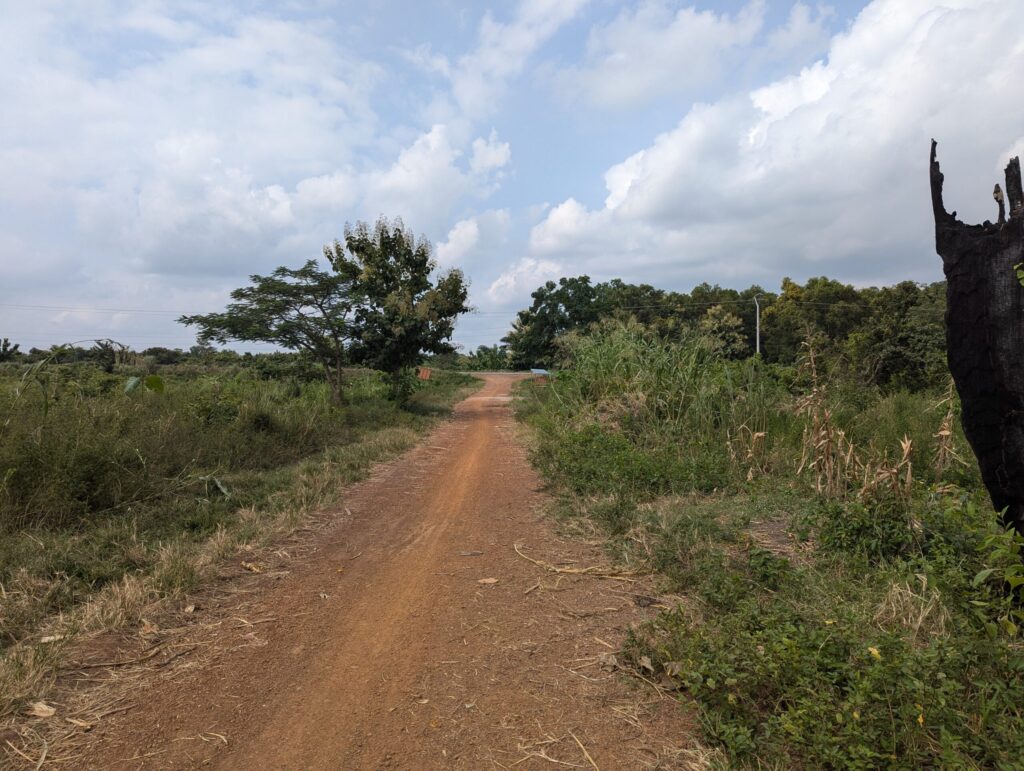 PXL_20240723_142635101.RAW-01.COVER_-scaled-1