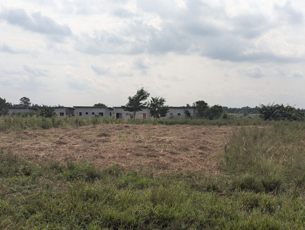 PXL_20240723_143742666.RAW-01.COVER_-scaled-1