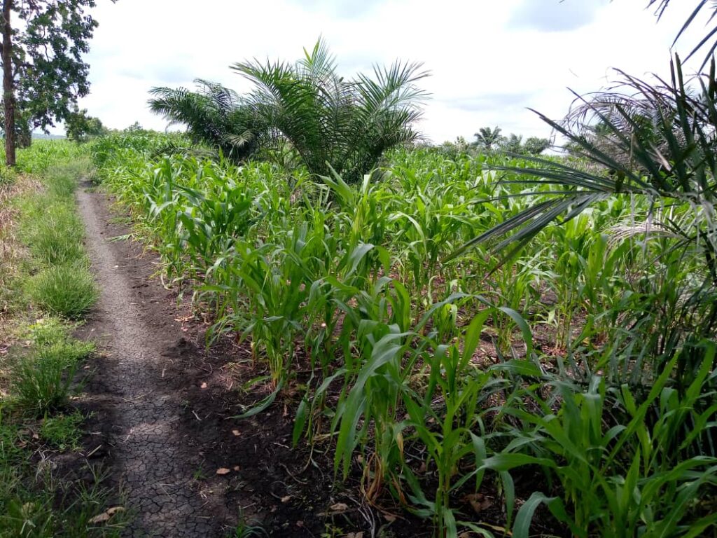 WhatsApp-Image-2024-05-17-a-19.07.28_c7619e4b